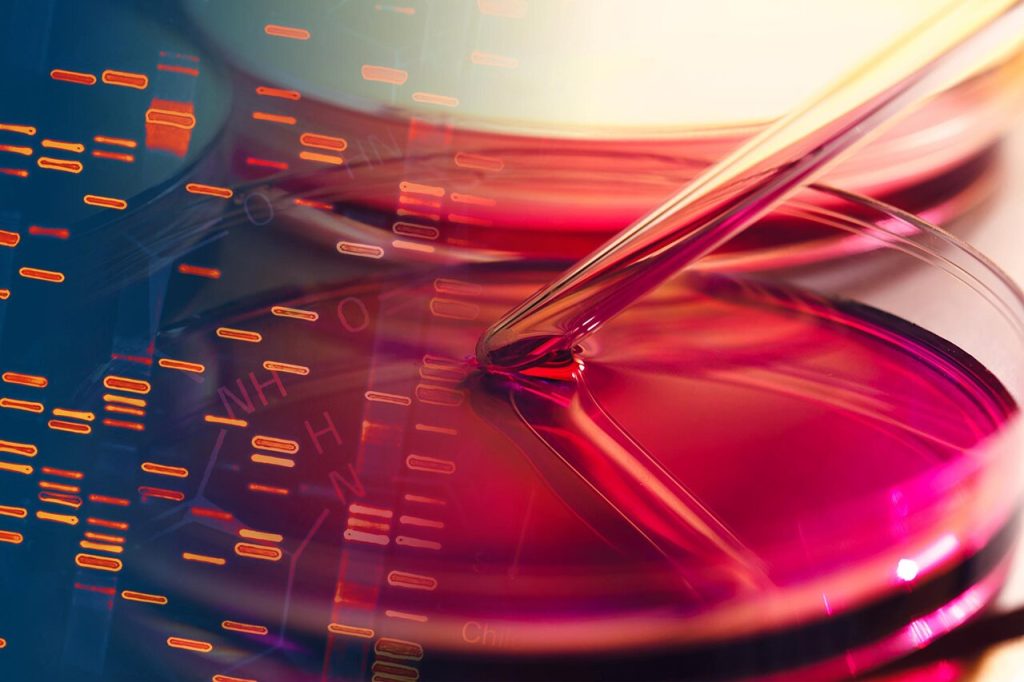 ساخت ساختارهای سه‌بعدی با DNA و آب