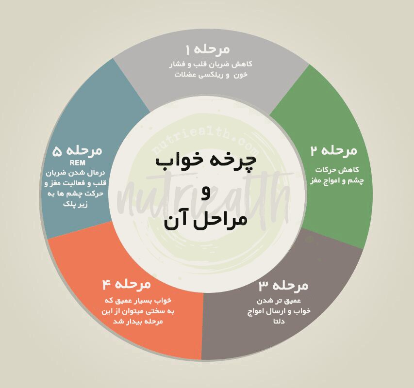 چه وقت خواب‌هایمان را واضح‌تر می‌بینیم؟