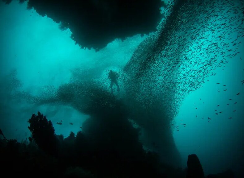 راز نفس کشیدن در اعماق اقیانوس فاش شد