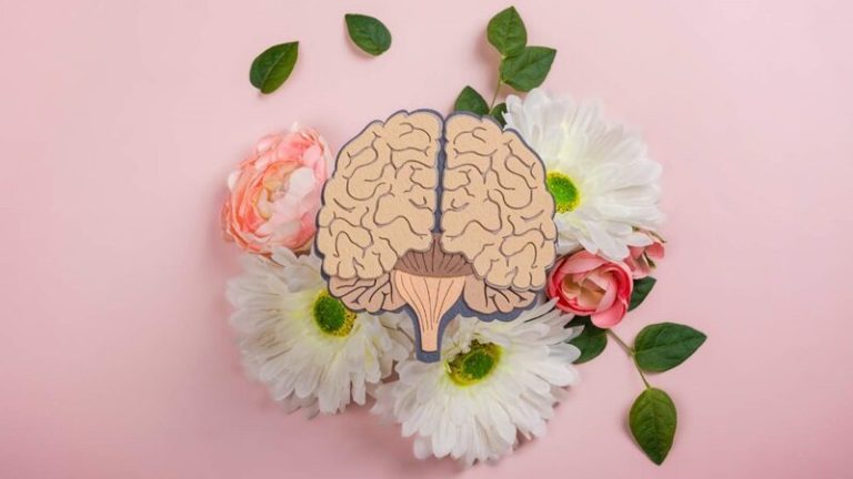 مصرف این مواد غذایی خوشمزه مغزتان را نابود می‌کند!