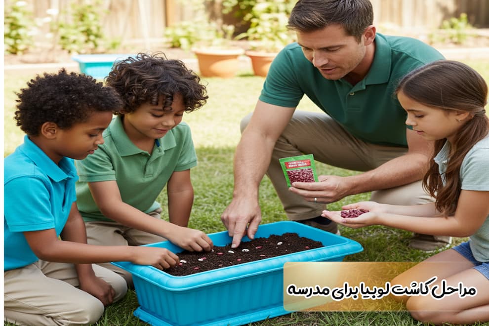 نحوه کاشت لوبیا چیتی برای مدرسه